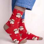 Shih Tzu Body socks FS004