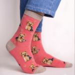 Yorkshire Terrier Body socks FS005